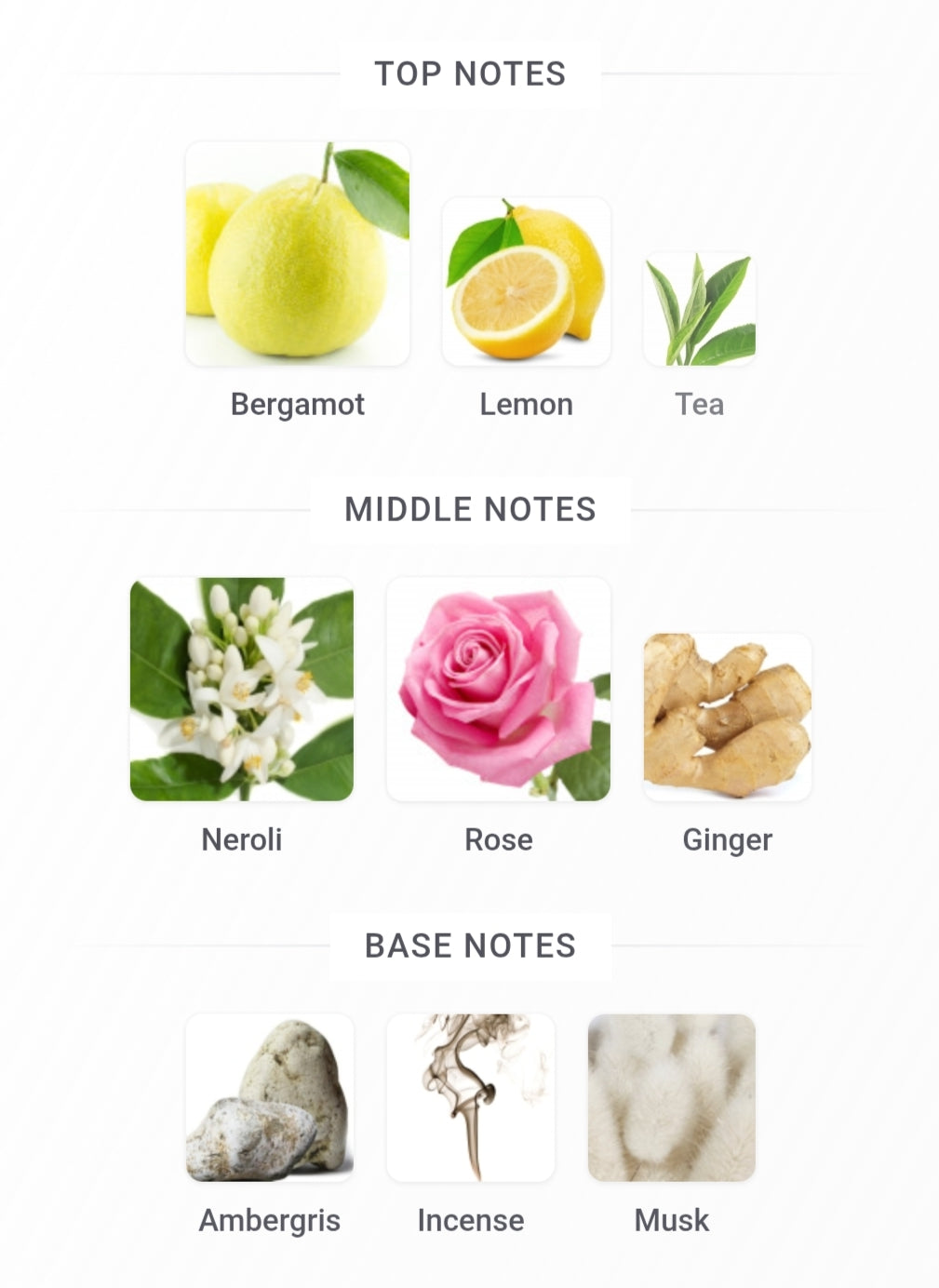 AWHAM 110 ML EDP by Gulf Orchid - Enchanting Scent for Every Occasion