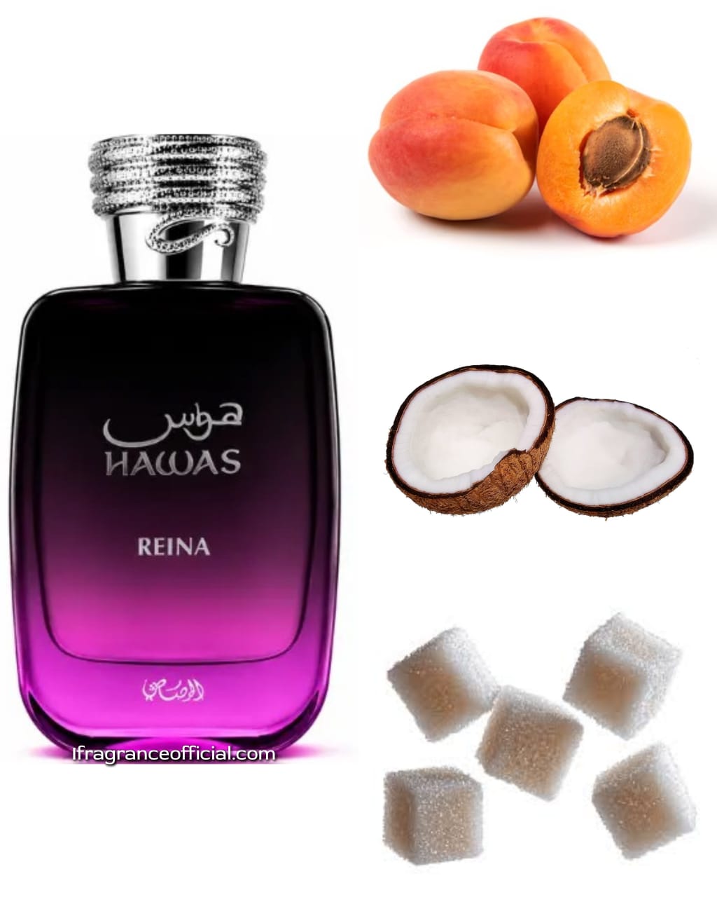 Hawas Reina 100 ML EDP