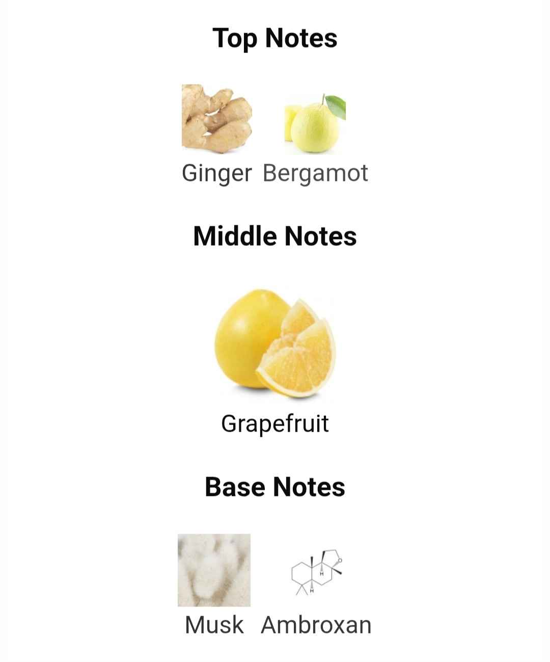 KHADLAJ ISLAND DREAMS