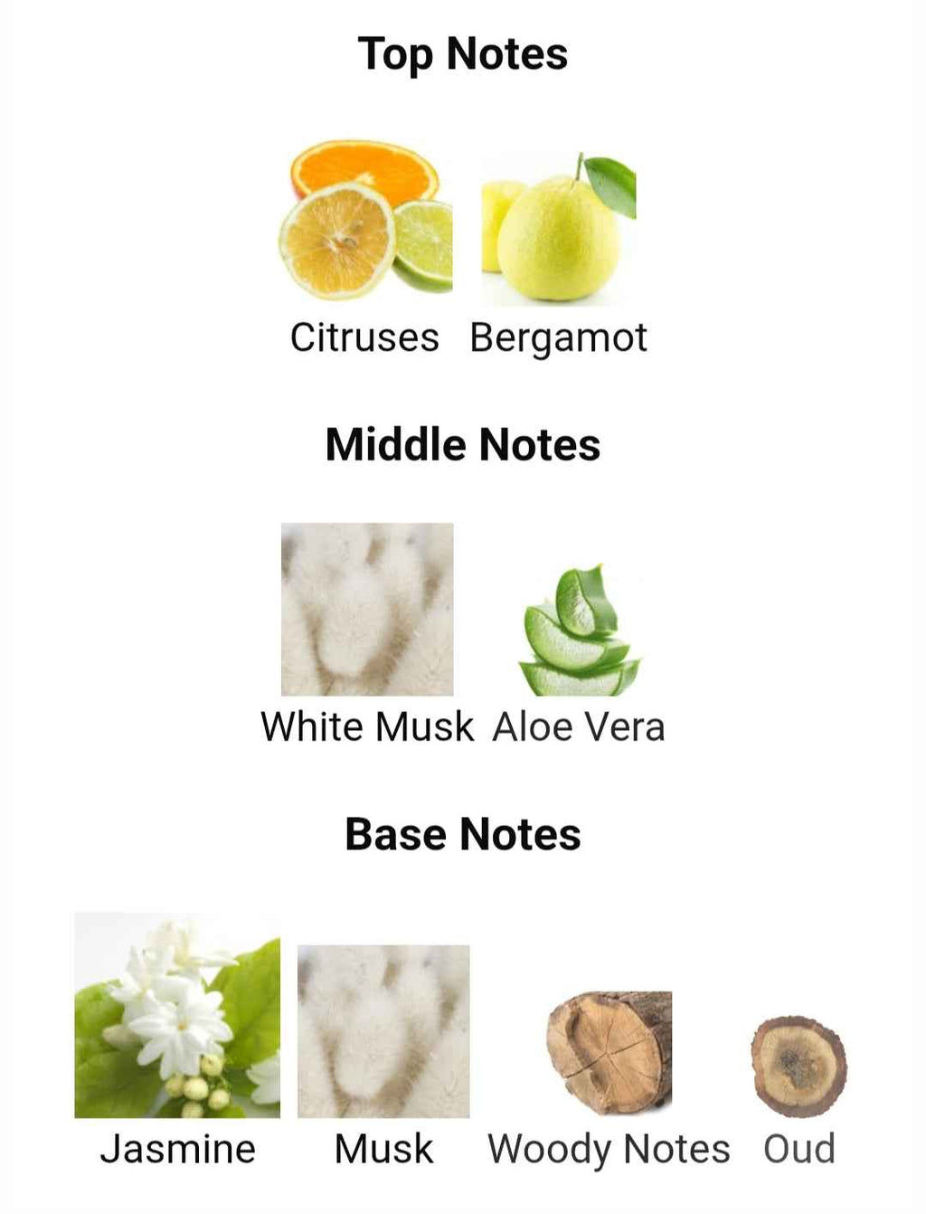 AMEERAT AL ARAB 100 ML EDP