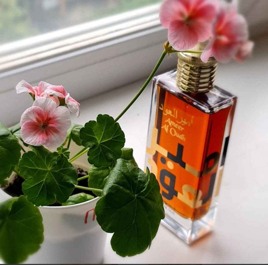 AMEER AL OUDH INTENSE OUD LATTAFA