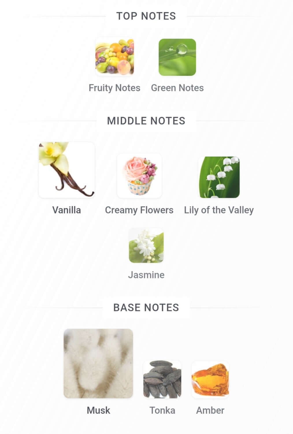 MUSK TAHARA VANILLA 60 ML EDP for Women | Gulf Orchid