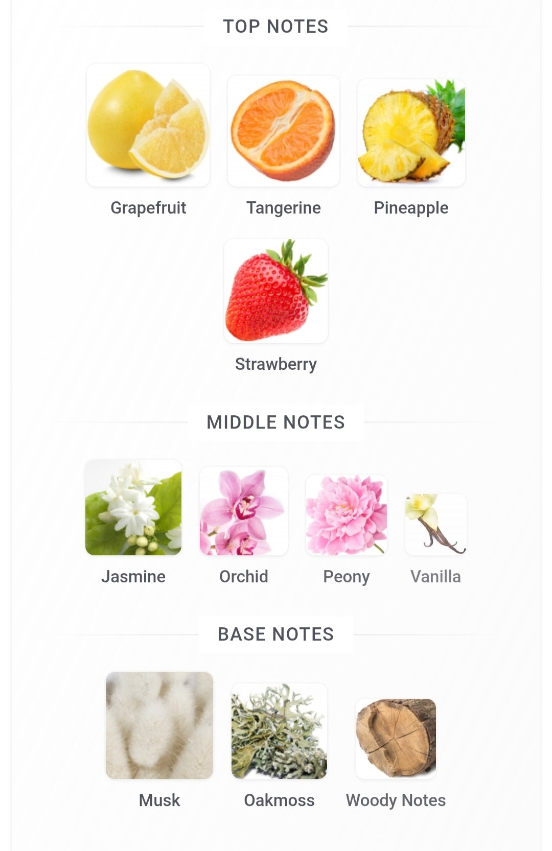 Zeleny 100ml edp By Ahmed Al Maghribi