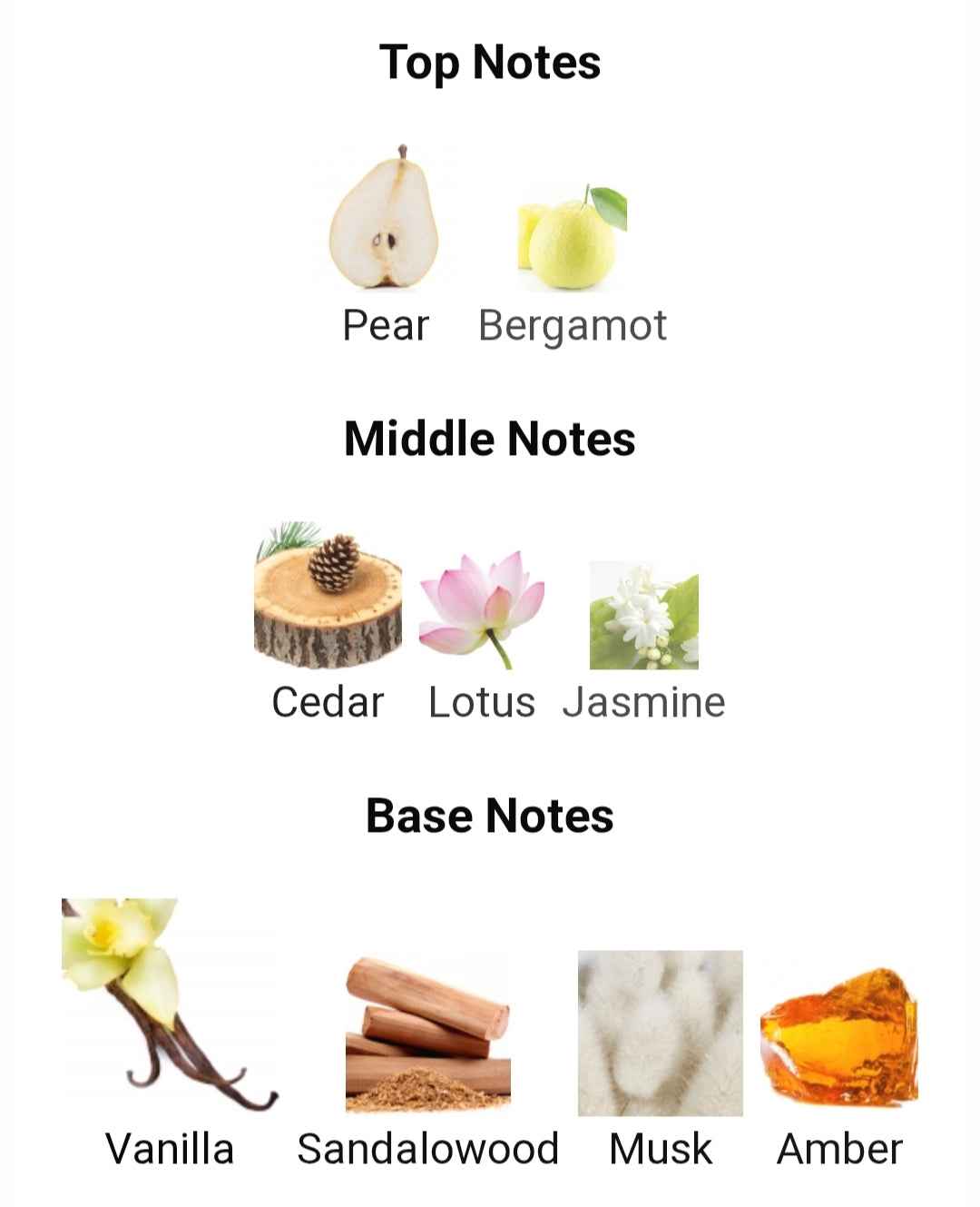 KALEMAT - Discover a luxury By Arabian Oud