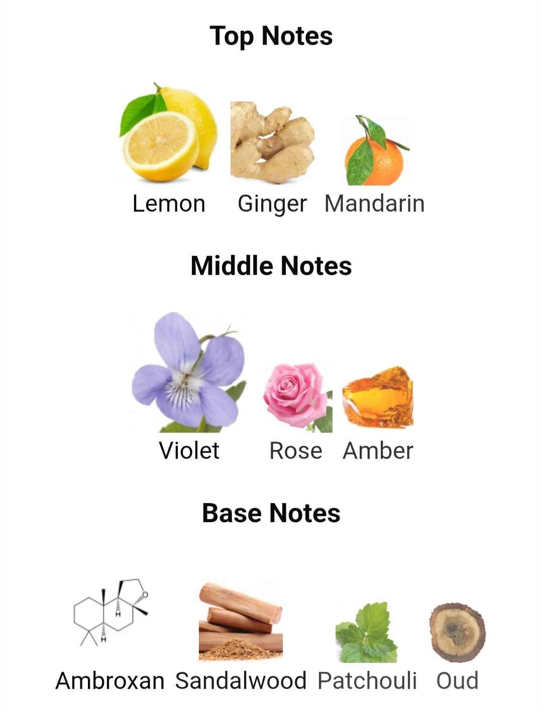 RASASI SHUHRAH ELIXIR Perfume - A Captivating Fragrance Experience