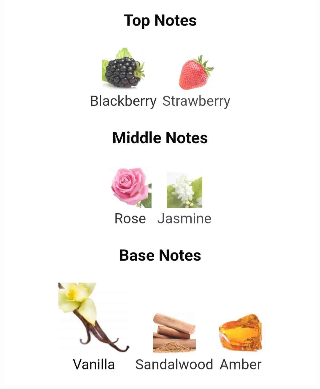 LA FEDE WHITE FOREST STRAWBERRY