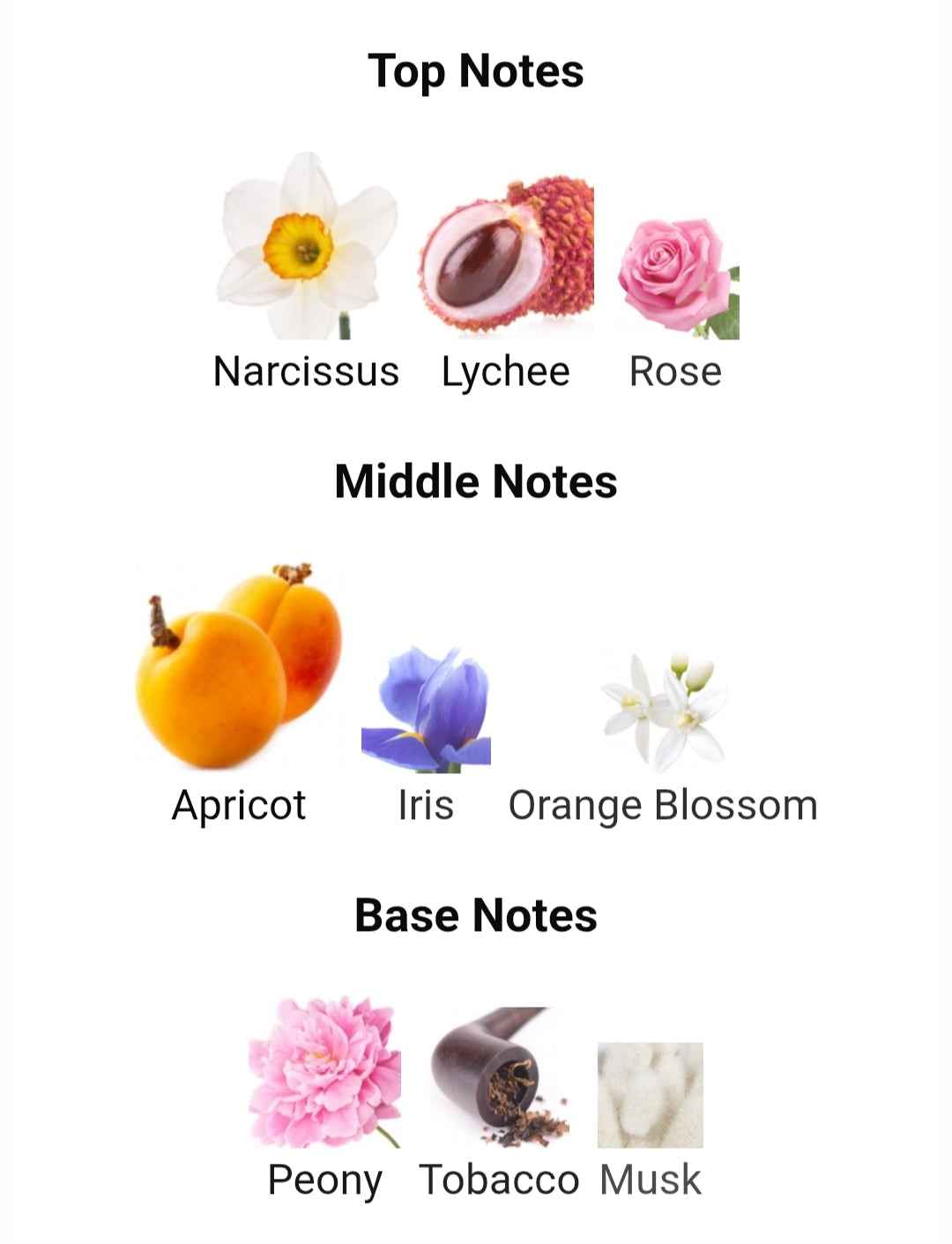 GREEK TOBACCO 200 ML EDP